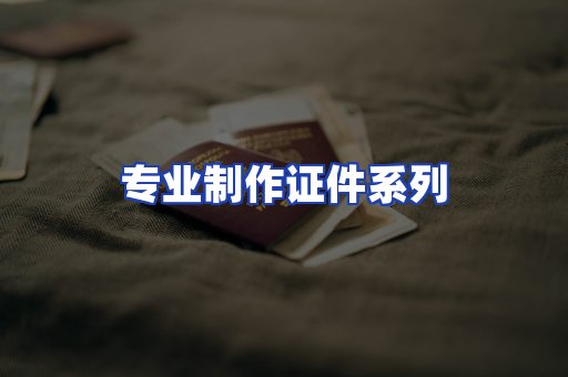 专业制作证件系列
